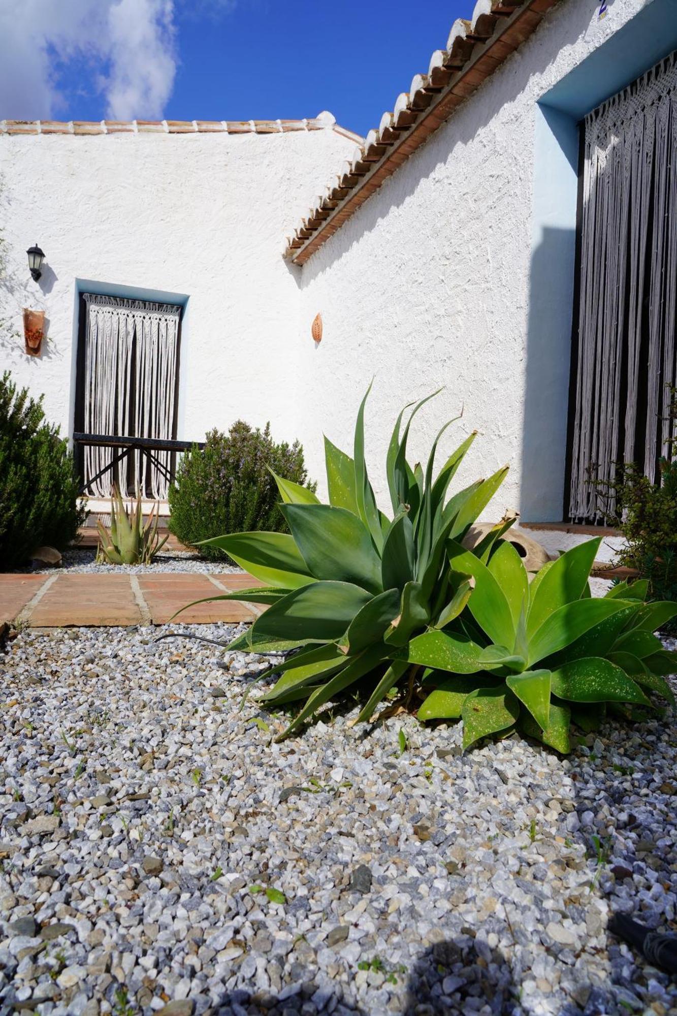 Гостевой дом Cortijo Lagar De Luisa Борхе Экстерьер фото