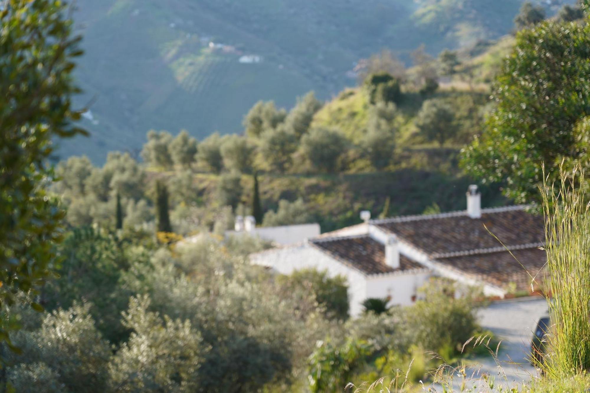 Гостевой дом Cortijo Lagar De Luisa Борхе Экстерьер фото