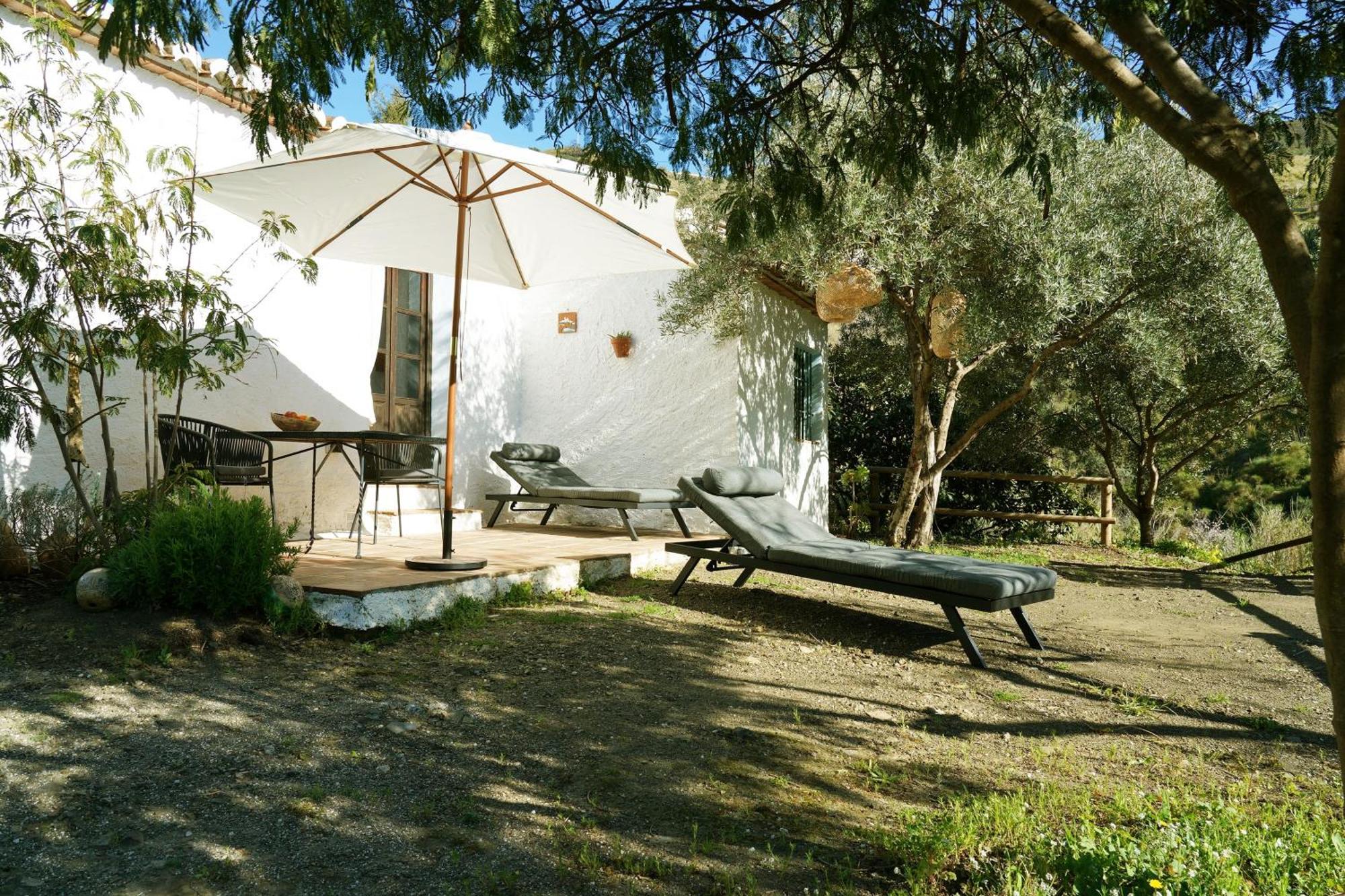 Гостевой дом Cortijo Lagar De Luisa Борхе Экстерьер фото