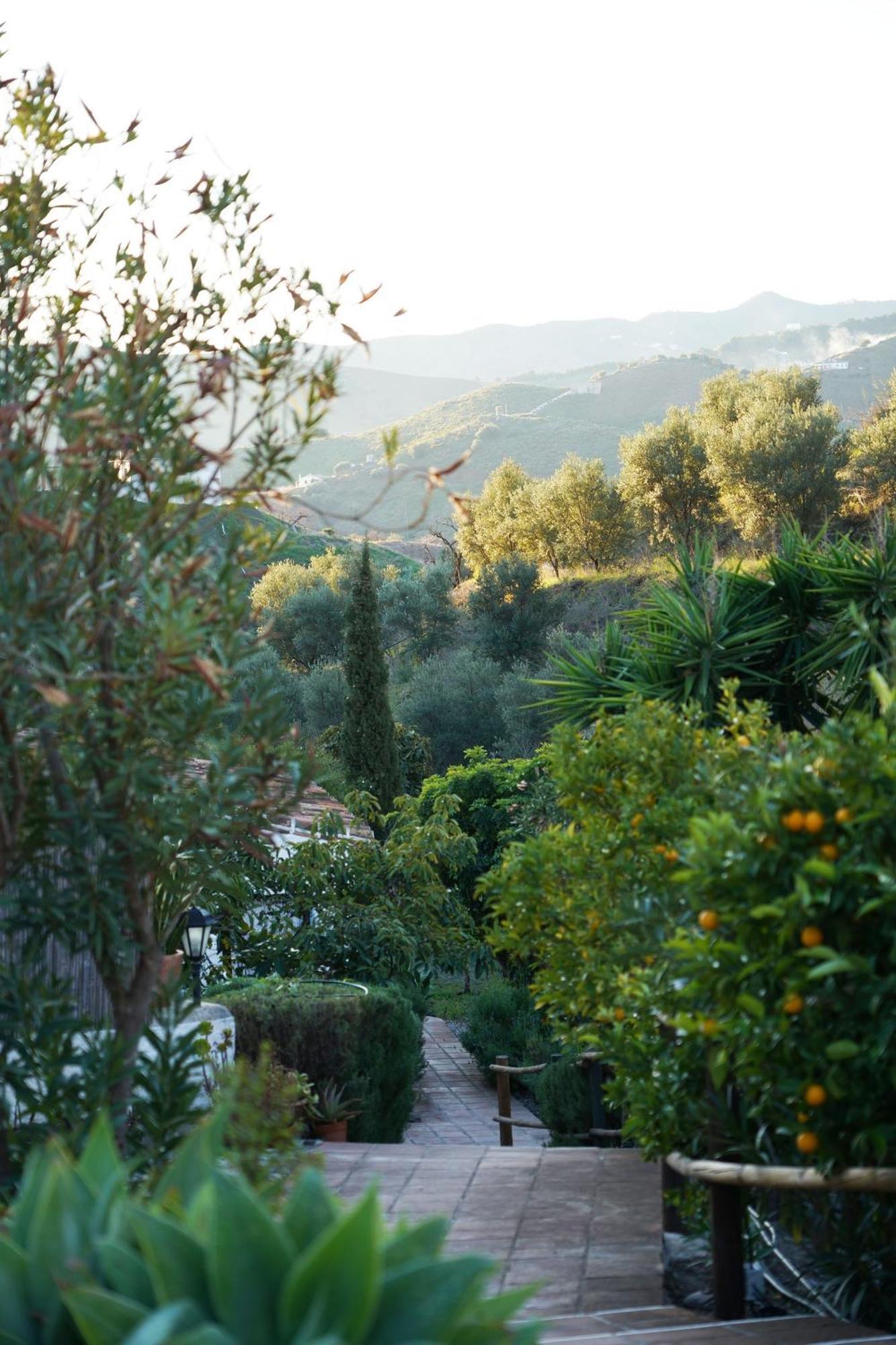 Гостевой дом Cortijo Lagar De Luisa Борхе Экстерьер фото