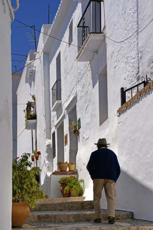 Гостевой дом Cortijo Lagar De Luisa Борхе Экстерьер фото